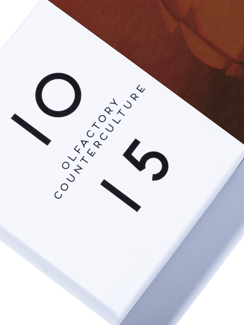 Kokoa Bang Room 1015 Eau de Parfum