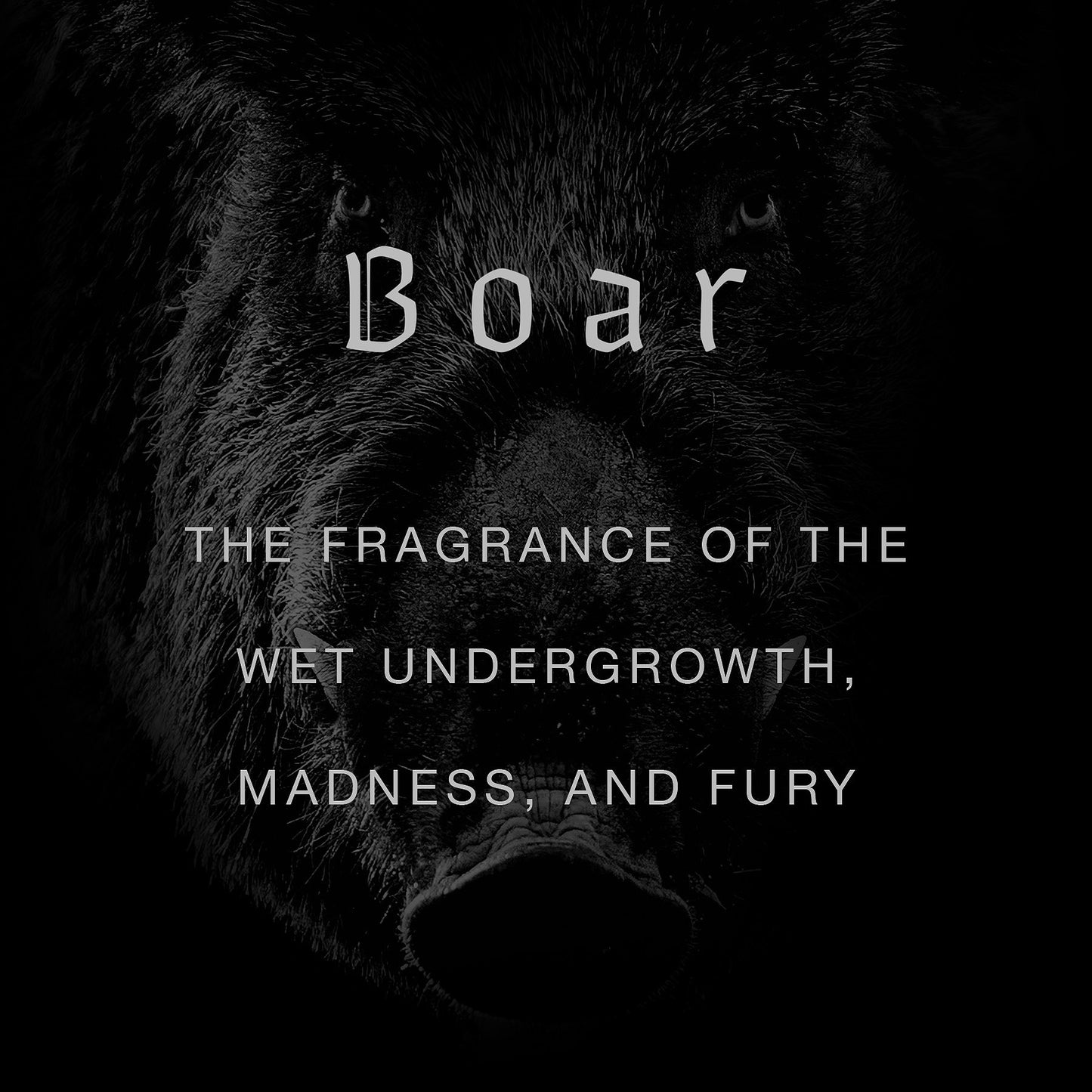 Boar Wild Slavic Fragrance - Eau de Parfum Duftprøve 2ml